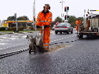 image/_nedlaegge_trafikfoeler-09.jpg