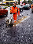 image/_nedlaegge_trafikfoeler-12.jpg