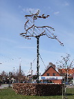 image/_hirtsprung-019.jpg