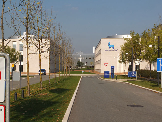 image/novo_nordisk-796.jpg