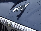 image/_daimler-505.jpg