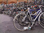 image/_cykelstativ-94.jpg