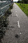 image/_supercykelsti-9420.jpg