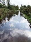 image/_vand_paa_cykelstien-345.jpg