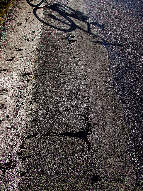 image/skovvangsvej-693.jpg