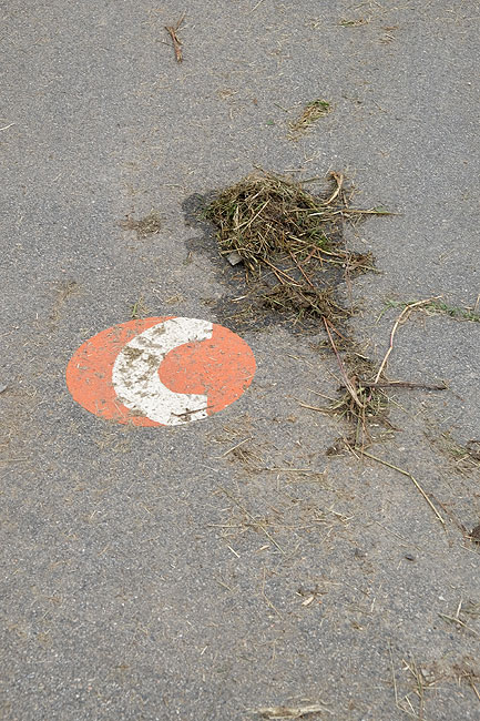 image/supercykelsti-8729.jpg