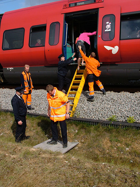 image/nedfalden_koereledning-27.jpg