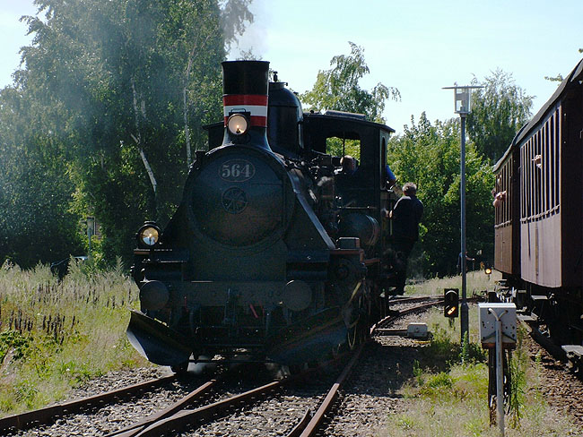 image/veterantog-043.jpg