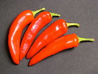 image/_chili-01.jpg