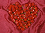 image/_habanero-16.jpg