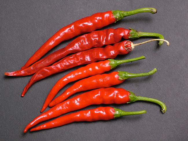 image/chili-06.jpg