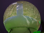 image/_cop15_copenhagen-29.jpg