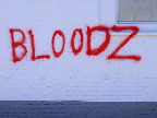 image/_graffiti-5186.jpg