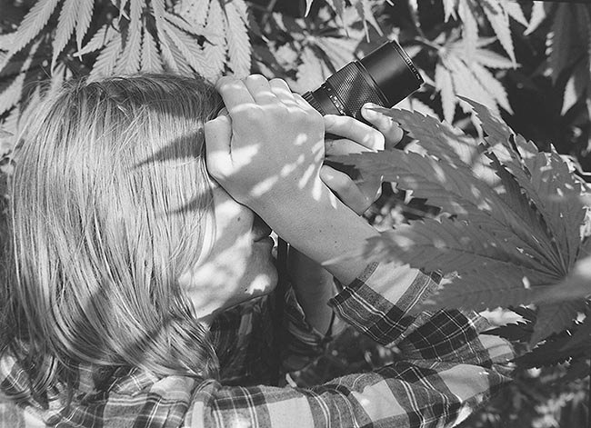 image/fotografere_hamp-8121.jpg