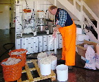 image/_lave_fiskefars-49.jpg