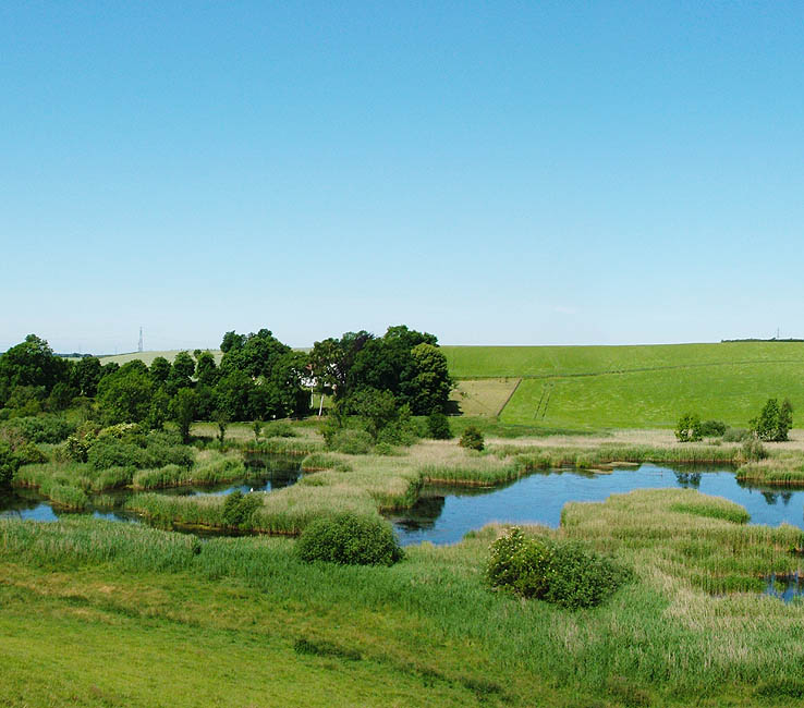 Panorama - Udsigt over Brøns mose i Veksø Sj.