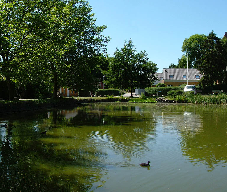 Panorama - Ledøje gadekær