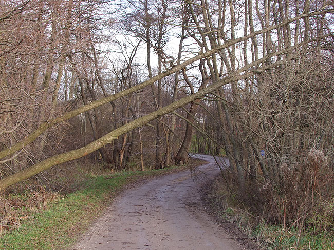 image/efteraarsstormen-661.jpg