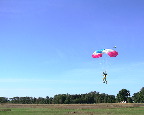 image/_faldskaermsudspring-23.jpg