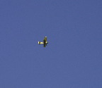 image/_flyshow_vaerloese-076.jpg