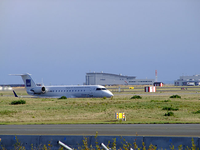 image/rutefly-672.jpg