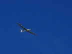 image/_svaevefly-36.jpg