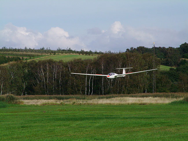 image/svaevefly-05.jpg