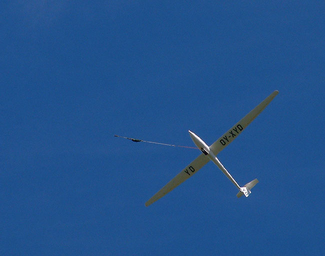 image/svaevefly-29.jpg