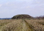 image/_gravhoej_v._skyhoej-01.jpg