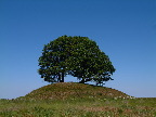 image/_kong_svends_hoej-01.jpg