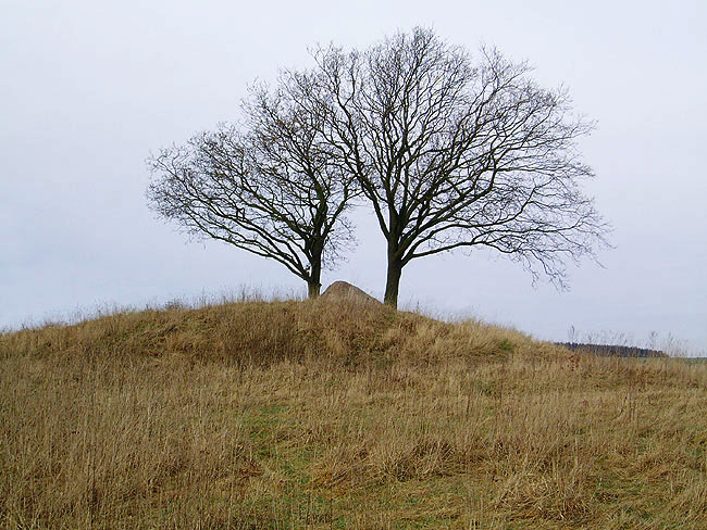 image/stenhoej_jaettestue-03.jpg
