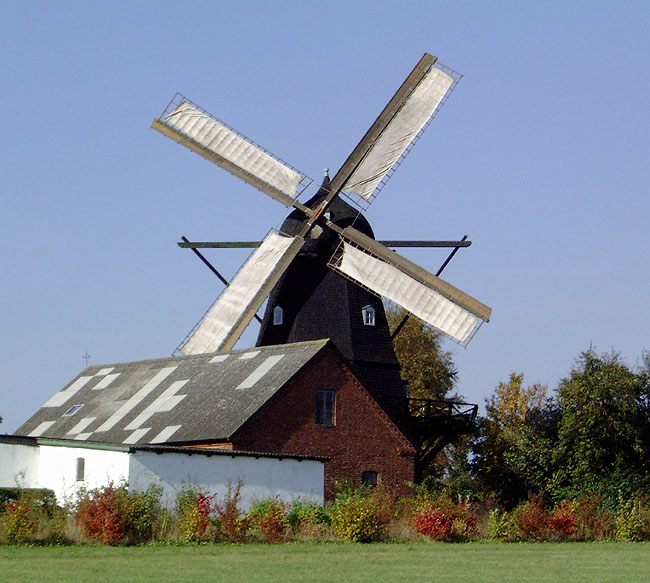 image/skenkelsoe_moelle-028.jpg