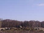 image/_doedningerne-16.jpg