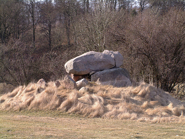 image/stendysse-02.jpg