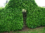 image/_groen_portal-27.jpg