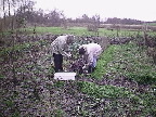 image/_efteraar_i_urtehaven-31.jpg