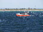 image/_fiskekutter-09.jpg