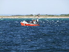 image/_fiskekutter-10.jpg