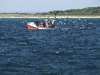 image/_fiskekutter-12.jpg