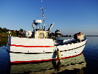 image/_lille_fiskekutter-063.jpg