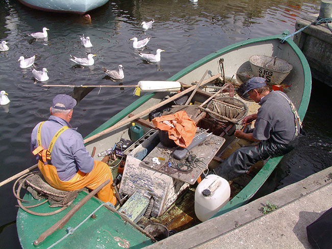 image/fiskere_i_havnen-42.jpg