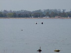 image/_lystfiskere-085.jpg