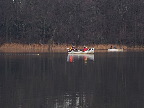 image/_lf_baade_paa_soeerne-142.jpg
