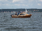 image/_smaabaadsfisker-0123.jpg