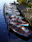 image/_lystfiskeriforeningen-110.jpg