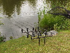 image/_karpefiskere-0458.jpg