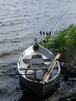 image/_karpefiskere-35.jpg