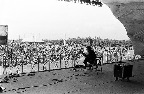 image/_roskilde_festival-5309.jpg