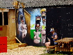 image/_roskilde_festival-8497.jpg