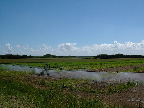 image/_markvanding-15.jpg